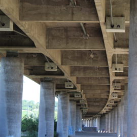 Das Bild zeigt die Unterseite einer großen Betonbrücke, die von mehreren runden Pfeilern getragen wird. Die Perspektive verläuft unter der Brücke entlang, umgeben von Bäumen und Sträuchern.