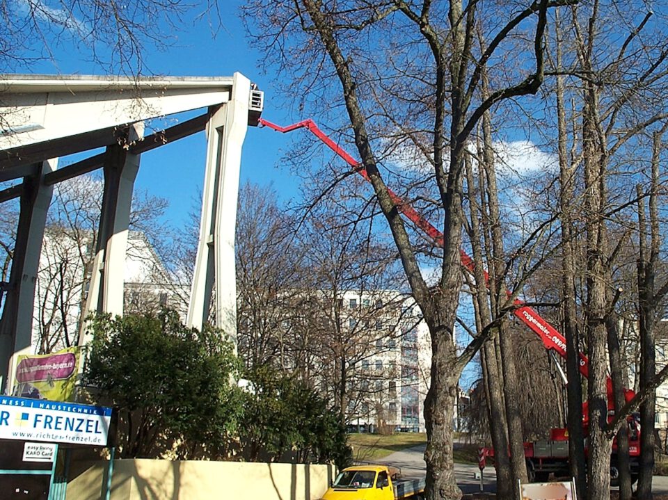 Eine große weiße Stahlkonstruktion wird mithilfe eines roten Krans oder einer Hebebühne bearbeitet; im Vordergrund stehen blattlose Bäume, ein gelbes Fahrzeug ist am Boden geparkt.