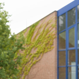 Das Bild zeigt ein modernes Gebäude mit einer Fassade aus Backstein und großen Glasfenstern mit blauen Rahmen. Auf der linken Seite steht ein Baum, und an der Backsteinwand wächst Efeu empor. Der Himmel ist wolkenverhangen.