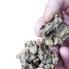 Das Bild zeigt eine Nahaufnahme von zwei Händen, die trockene, rissige Erd- oder Lehmbrocken halten.
