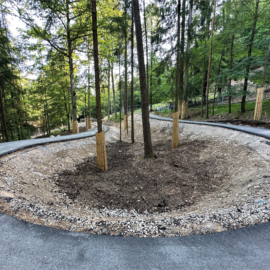 Das Bild zeigt einen geschwungenen, geteerten Weg, der durch ein bewaldetes Gebiet führt. In der Mitte des Weges befindet sich eine von Holzschutzvorrichtungen umgebene Bauminsel. Die Umgebung ist dicht mit hohen Bäumen und viel Grün bewachsen.