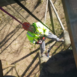Das Bild zeigt eine Person mit Warnweste, Helm und Sicherheitsgurt, die in luftiger Höhe an einer Holzkonstruktion arbeitet. Die Person hält sich an Seilen fest und scheint Wartungs- oder Bauarbeiten durchzuführen. Im Hintergrund sind Bäume und Schatten auf dem Boden zu erkennen.