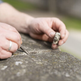 Das Bild zeigt eine Nahaufnahme von zwei Händen, die an einer Steinoberfläche arbeiten. Eine Hand hält ein kleines Meißel-ähnliches Werkzeug, die andere ein Stück Material, möglicherweise Mörtel oder Stein. Es scheint sich um eine präzise handwerkliche Tätigkeit oder eine Reparatur am Stein zu handeln.