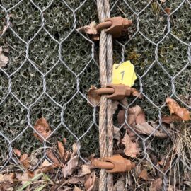 Das Bild zeigt ein Detail einer Sicherungskonstruktion an einer Felswand. Ein dickes Stahlseil verläuft senkrecht durch ein Drahtnetz und ist mit mehreren massiven Seilklemmen fixiert. Daneben befindet sich ein gelbes Markierungsschild mit einer Zahl, um die Position zu kennzeichnen. Im Hintergrund sind Moos, trockene Blätter und Gestein sichtbar, was auf eine natürliche Umgebung hinweist.