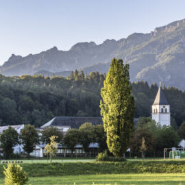 Das Bild zeigt eine idyllische Landschaft mit einem hohen Baum im Vordergrund und einer Kirche mit weißem Turm auf der rechten Seite. Mehrere Gebäude sind von Bäumen umgeben, im Hintergrund erstrecken sich bewaldete Hügel und Berge unter klarem Himmel. Eine offene Wiese liegt im Vordergrund.