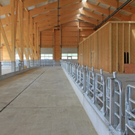 Das Bild zeigt das Innere eines großen, modernen landwirtschaftlichen Gebäudes mit einer hohen Decke aus Metall und tragenden Holzbalken. Auf der rechten Seite befinden sich Metallgeländer und Tore, die vermutlich zur Führung von Tieren dienen. Der Boden besteht aus Beton, und auf der linken Seite ist eine offene Fläche mit weiteren Geländern im Hintergrund zu sehen.