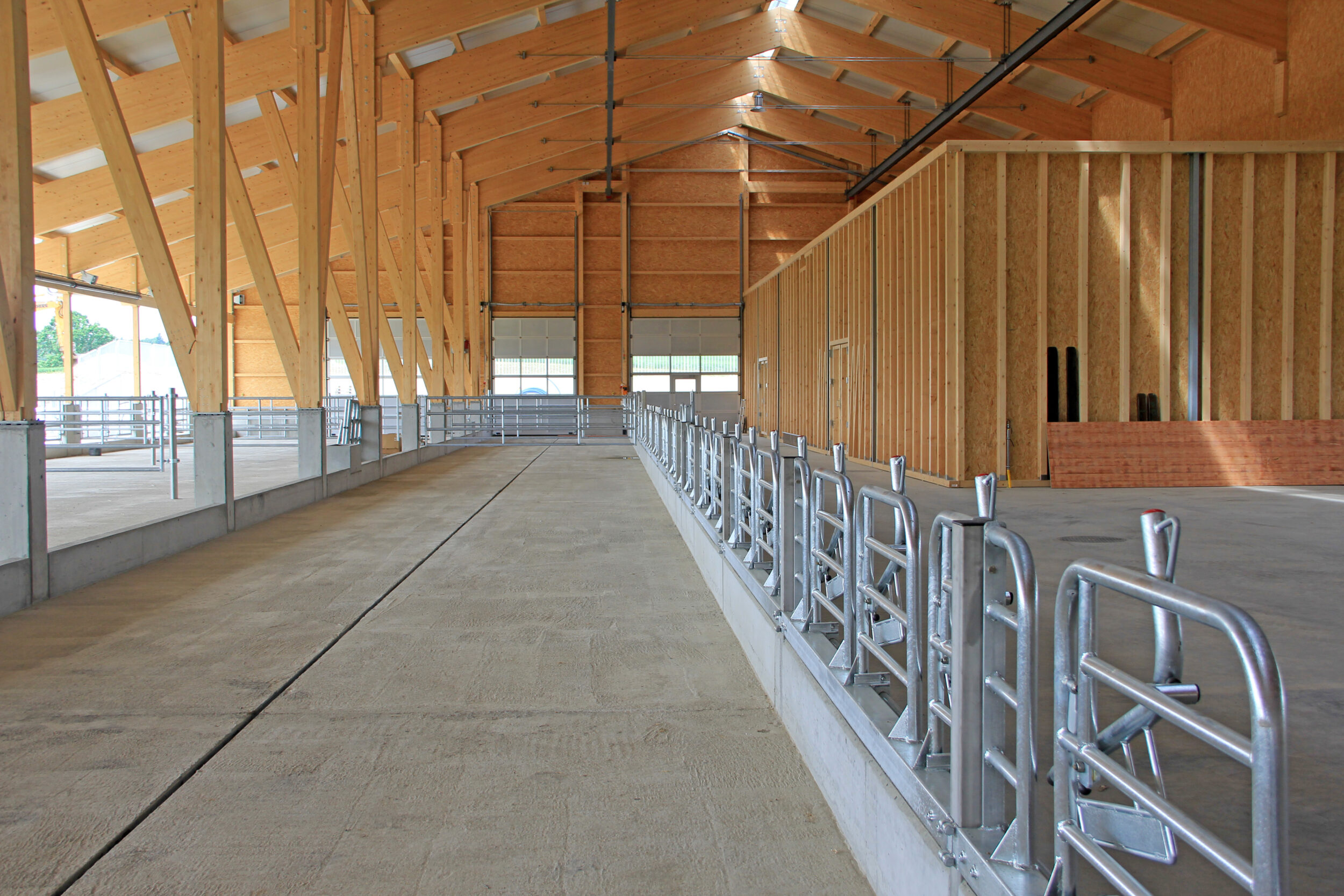Das Bild zeigt das Innere eines großen, modernen landwirtschaftlichen Gebäudes mit einer hohen Decke aus Metall und tragenden Holzbalken. Auf der rechten Seite befinden sich Metallgeländer und Tore, die vermutlich zur Führung von Tieren dienen. Der Boden besteht aus Beton, und auf der linken Seite ist eine offene Fläche mit weiteren Geländern im Hintergrund zu sehen.