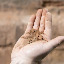 Das Bild zeigt eine offene Hand, in der sich eine kleine Menge Erde oder Schmutz befindet. Der Hintergrund ist unscharf und zeigt eine bräunliche Wand oder Fläche.