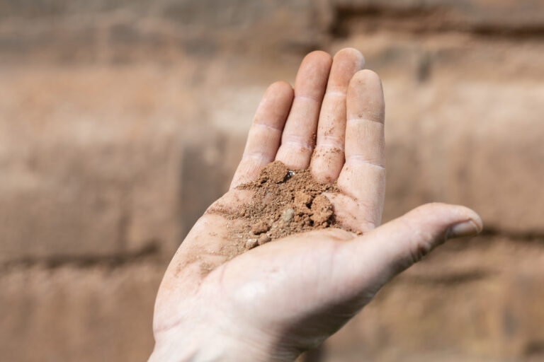 Das Bild zeigt eine offene Hand, in der sich eine kleine Menge Erde oder Schmutz befindet. Der Hintergrund ist unscharf und zeigt eine bräunliche Wand oder Fläche.